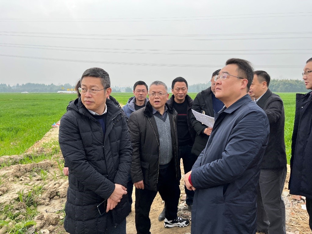 省社、省供投集團(tuán)領(lǐng)導(dǎo)調(diào)研青白江區(qū)四川現(xiàn)代供銷種業(yè)園區(qū)