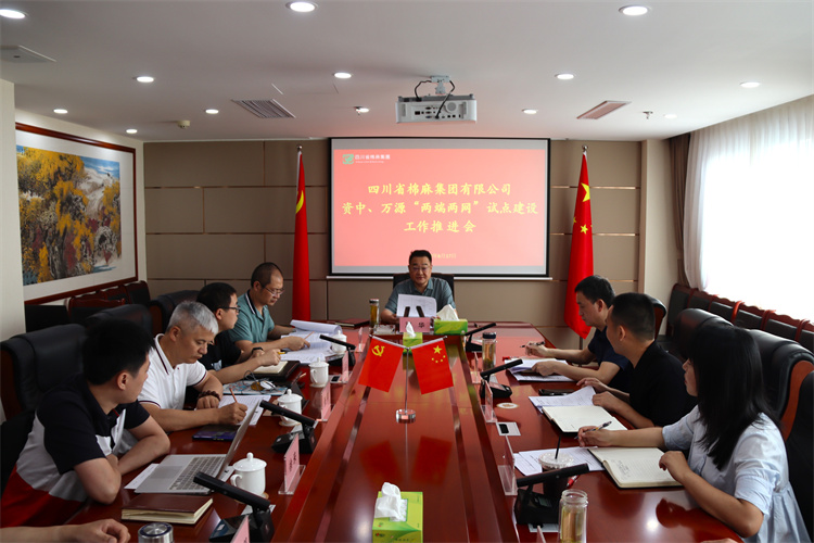 鄧華主持召開資中、萬源“兩端兩網(wǎng)”試點(diǎn)建設(shè)工作推進(jìn)會(huì)