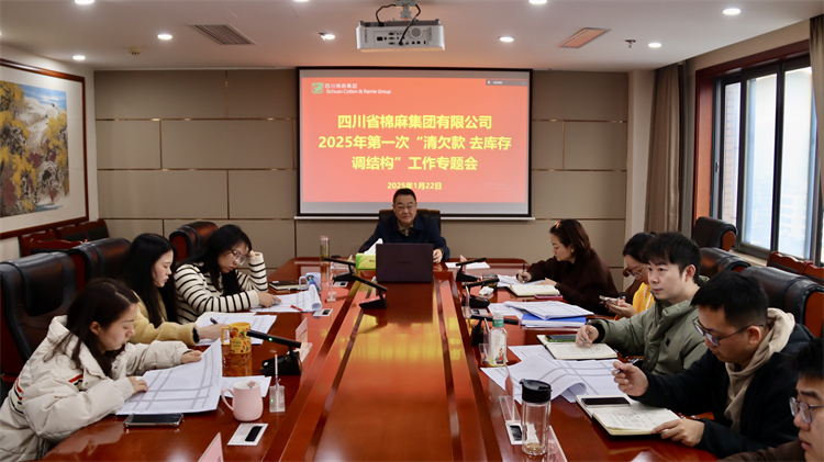 集團(tuán)公司召開2025年第一次“清欠款、去庫存、調(diào)結(jié)構(gòu)”工作專題會