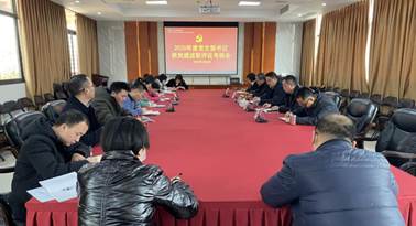 20210127集團(tuán)公司黨委召開2020年度黨支部書記黨建述職評議考核會(huì) (8)